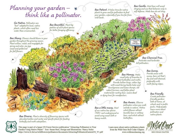 native vs non-native