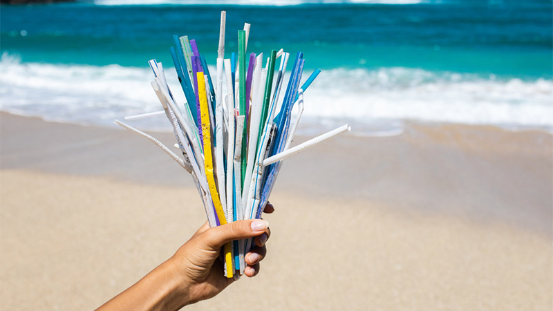 Plastic Straws